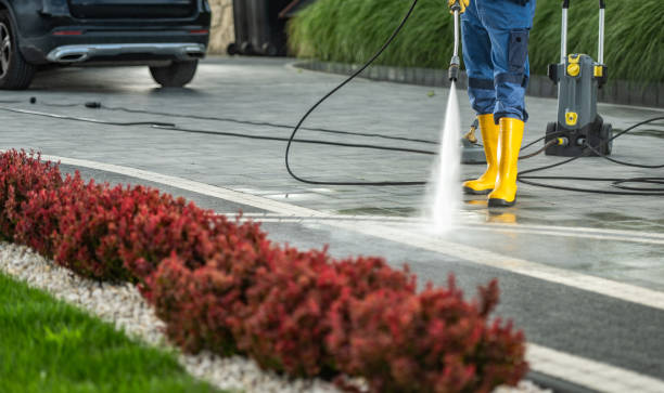 Best Residential Pressure Washing Services  in South Lyon, MI