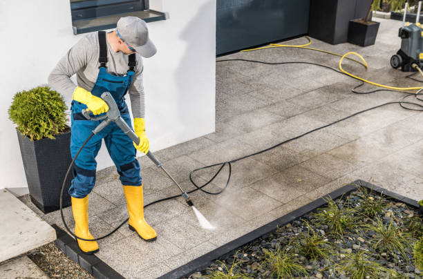 Best House Pressure Washing  in South Lyon, MI