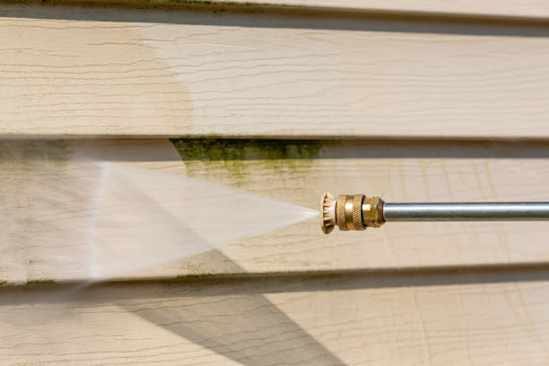 Best Concrete Pressure Washing  in South Lyon, MI